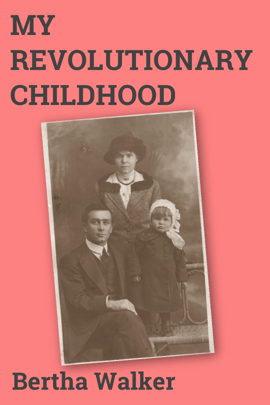 My Revolutionary Childhood cover